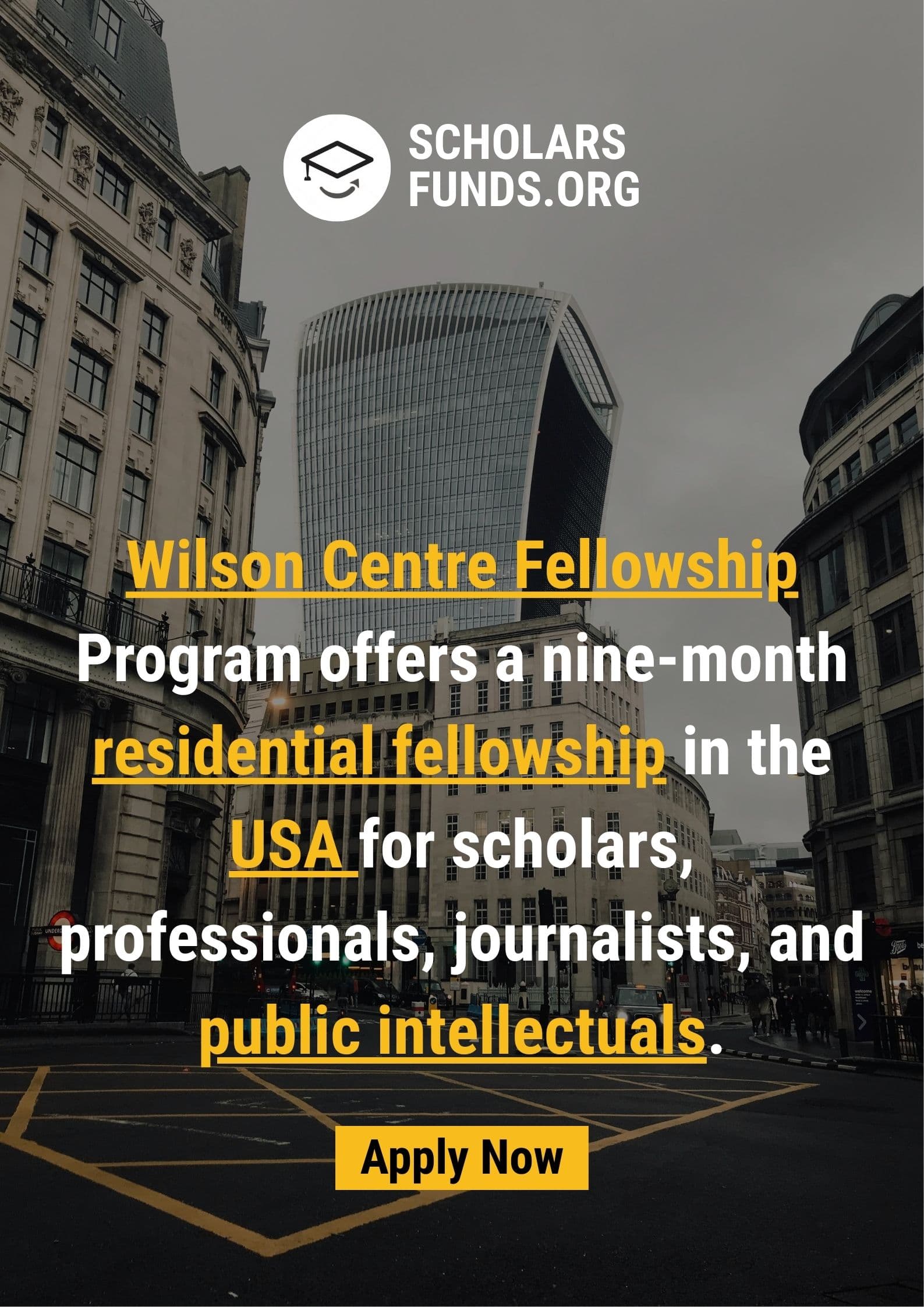 Wilson Center Fellowship Program 2026 (USA)