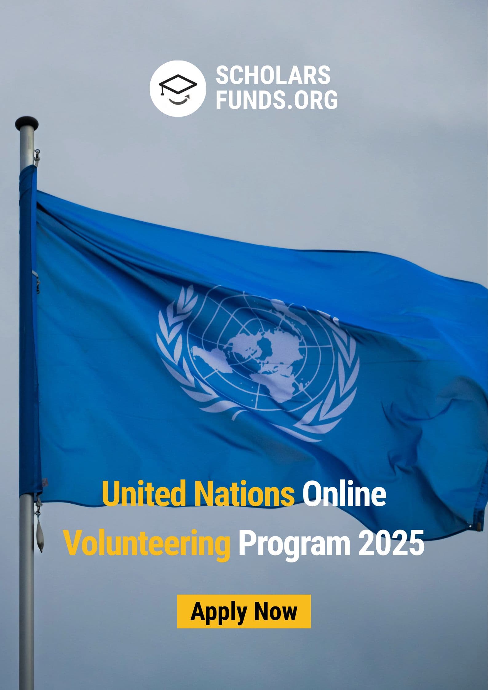United Nations Online Volunteering Program 2025